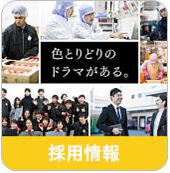 デリカフーズ株式会社 カット野菜 ホール野菜 日配品 デリカフーズは野菜の卸売りをしている会社ですデリカフーズ株式会社